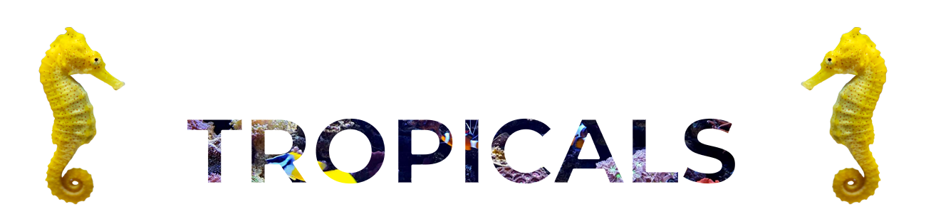 Grosvenor Tropicals Logo Redesign